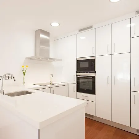 Apartment Feels Like S. Bento Luxus With Terrace Lisbon